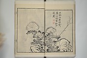 Part 2 from The Mustard Seed Garden Painting Manual (3rd Chinese edition)  芥子園畫傳, Wang Gai 王槩 (Chinese, 1645–1710), Set of four woodblock printed books; ink and color on paper, China
