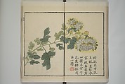 Part 2 from The Mustard Seed Garden Painting Manual (3rd Chinese edition)  芥子園畫傳, Wang Gai 王槩 (Chinese, 1645–1710), Set of four woodblock printed books; ink and color on paper, China