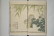 Part 2 from The Mustard Seed Garden Painting Manual (3rd Chinese edition)  芥子園畫傳, Wang Gai 王槩 (Chinese, 1645–1710), Set of four woodblock printed books; ink and color on paper, China