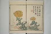 Part 2 from The Mustard Seed Garden Painting Manual (3rd Chinese edition)  芥子園畫傳, Wang Gai 王槩 (Chinese, 1645–1710), Set of four woodblock printed books; ink and color on paper, China