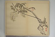 Kan'ei Picture Album (Kan'ei gafu 完瑛画譜), Nishiyama Ken 西山謙一郎 (Japanese, 1833–1897), Woodblock printed book (orihon, accordion-style); ink and color on paper, Japan