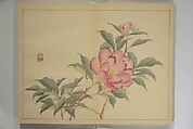 Kan'ei Picture Album (Kan'ei gafu 完瑛画譜), Nishiyama Ken 西山謙一郎 (Japanese, 1833–1897), Woodblock printed book (orihon, accordion-style); ink and color on paper, Japan