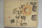 Kan'ei Picture Album (Kan'ei gafu 完瑛画譜), Nishiyama Ken 西山謙一郎 (Japanese, 1833–1897), Woodblock printed book (orihon, accordion-style); ink and color on paper, Japan