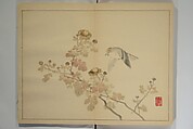 Nishiyama Ken 西山謙一郎 | Kan'ei Picture Album (Kan'ei gafu 完瑛画譜) | Japan ...