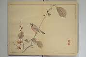 Kan'ei Picture Album (Kan'ei gafu 完瑛画譜), Nishiyama Ken 西山謙一郎 (Japanese, 1833–1897), Woodblock printed book (orihon, accordion-style); ink and color on paper, Japan