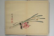 Kan'ei Picture Album (Kan'ei gafu 完瑛画譜), Nishiyama Ken 西山謙一郎 (Japanese, 1833–1897), Woodblock printed book (orihon, accordion-style); ink and color on paper, Japan