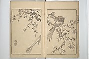 Kanrin Picture Album (Kanrin gafu) 閑林画譜, Okada Kanrin 岡田閑林 (Japanese, 1775–1849), Set of two woodblock printed books; ink and color on paper, Japan