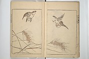 Kanrin Picture Album (Kanrin gafu) 閑林画譜, Okada Kanrin 岡田閑林 (Japanese, 1775–1849), Set of two woodblock printed books; ink and color on paper, Japan