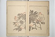Kanrin Picture Album (Kanrin gafu) 閑林画譜, Okada Kanrin 岡田閑林 (Japanese, 1775–1849), Set of two woodblock printed books; ink and color on paper, Japan
