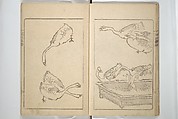 Kanrin Picture Album (Kanrin gafu) 閑林画譜, Okada Kanrin 岡田閑林 (Japanese, 1775–1849), Set of two woodblock printed books; ink and color on paper, Japan