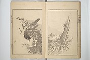 Kanrin Picture Album (Kanrin gafu) 閑林画譜, Okada Kanrin 岡田閑林 (Japanese, 1775–1849), Set of two woodblock printed books; ink and color on paper, Japan