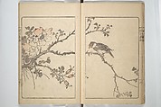 Kanrin Picture Album (Kanrin gafu) 閑林画譜, Okada Kanrin 岡田閑林 (Japanese, 1775–1849), Set of two woodblock printed books; ink and color on paper, Japan