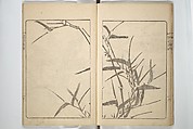 Kanrin Picture Album (Kanrin gafu) 閑林画譜, Okada Kanrin 岡田閑林 (Japanese, 1775–1849), Set of two woodblock printed books; ink and color on paper, Japan