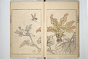 Kanrin Picture Album (Kanrin gafu) 閑林画譜, Okada Kanrin 岡田閑林 (Japanese, 1775–1849), Set of two woodblock printed books; ink and color on paper, Japan