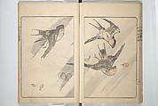Kanrin Picture Album (Kanrin gafu) 閑林画譜, Okada Kanrin 岡田閑林 (Japanese, 1775–1849), Set of two woodblock printed books; ink and color on paper, Japan