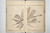 Kanrin Picture Album (Kanrin gafu) 閑林画譜, Okada Kanrin 岡田閑林 (Japanese, 1775–1849), Set of two woodblock printed books; ink and color on paper, Japan