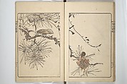 Kanrin Picture Album (Kanrin gafu) 閑林画譜, Okada Kanrin 岡田閑林 (Japanese, 1775–1849), Set of two woodblock printed books; ink and color on paper, Japan