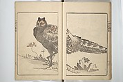 Kanrin Picture Album (Kanrin gafu) 閑林画譜, Okada Kanrin 岡田閑林 (Japanese, 1775–1849), Set of two woodblock printed books; ink and color on paper, Japan