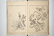 Kanrin Picture Album (Kanrin gafu) 閑林画譜, Okada Kanrin 岡田閑林 (Japanese, 1775–1849), Set of two woodblock printed books; ink and color on paper, Japan