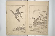 Kanrin Picture Album (Kanrin gafu) 閑林画譜, Okada Kanrin 岡田閑林 (Japanese, 1775–1849), Set of two woodblock printed books; ink and color on paper, Japan