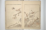Kanrin Picture Album (Kanrin gafu) 閑林画譜, Okada Kanrin 岡田閑林 (Japanese, 1775–1849), Set of two woodblock printed books; ink and color on paper, Japan