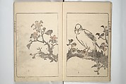 Kanrin Picture Album (Kanrin gafu) 閑林画譜, Okada Kanrin 岡田閑林 (Japanese, 1775–1849), Set of two woodblock printed books; ink and color on paper, Japan