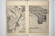 Kanrin Picture Album (Kanrin gafu) 閑林画譜, Okada Kanrin 岡田閑林 (Japanese, 1775–1849), Set of two woodblock printed books; ink and color on paper, Japan
