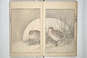 Kanrin Picture Album (Kanrin gafu) 閑林画譜, Okada Kanrin 岡田閑林 (Japanese, 1775–1849), Set of two woodblock printed books; ink and color on paper, Japan