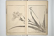 Kanrin Picture Album (Kanrin gafu) 閑林画譜, Okada Kanrin 岡田閑林 (Japanese, 1775–1849), Set of two woodblock printed books; ink and color on paper, Japan