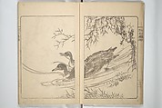 Kanrin Picture Album (Kanrin gafu) 閑林画譜, Okada Kanrin 岡田閑林 (Japanese, 1775–1849), Set of two woodblock printed books; ink and color on paper, Japan