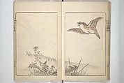 Kanrin Picture Album (Kanrin gafu) 閑林画譜, Okada Kanrin 岡田閑林 (Japanese, 1775–1849), Set of two woodblock printed books; ink and color on paper, Japan