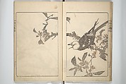 Kanrin Picture Album (Kanrin gafu) 閑林画譜, Okada Kanrin 岡田閑林 (Japanese, 1775–1849), Set of two woodblock printed books; ink and color on paper, Japan