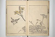 Kanrin Picture Album (Kanrin gafu) 閑林画譜, Okada Kanrin 岡田閑林 (Japanese, 1775–1849), Set of two woodblock printed books; ink and color on paper, Japan