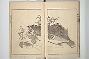 Kanrin Picture Album (Kanrin gafu) 閑林画譜, Okada Kanrin 岡田閑林 (Japanese, 1775–1849), Set of two woodblock printed books; ink and color on paper, Japan