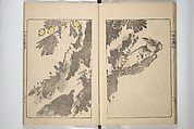 Kanrin Picture Album (Kanrin gafu) 閑林画譜, Okada Kanrin 岡田閑林 (Japanese, 1775–1849), Set of two woodblock printed books; ink and color on paper, Japan