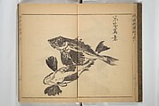 Kan'yōsai Picture Album (Kan'yōsai gafu) 寒葉斎画譜, Kan&#39;yōsai 寒葉斎 (Tatebe Ayatari 建部綾足) (Japanese, 1719–1774), Set of three woodblock printed books; ink on paper, Japan