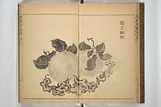 Kan'yōsai Picture Album (Kan'yōsai gafu) 寒葉斎画譜, Kan&#39;yōsai 寒葉斎 (Tatebe Ayatari 建部綾足) (Japanese, 1719–1774), Set of three woodblock printed books; ink on paper, Japan