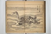 Kan'yōsai Picture Album (Kan'yōsai gafu) 寒葉斎画譜, Kan&#39;yōsai 寒葉斎 (Tatebe Ayatari 建部綾足) (Japanese, 1719–1774), Set of three woodblock printed books; ink on paper, Japan