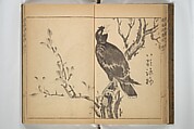 Kan'yōsai Picture Album (Kan'yōsai gafu) 寒葉斎画譜, Kan&#39;yōsai 寒葉斎 (Tatebe Ayatari 建部綾足) (Japanese, 1719–1774), Set of three woodblock printed books; ink on paper, Japan