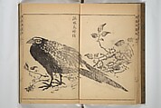 Kan'yōsai Picture Album (Kan'yōsai gafu) 寒葉斎画譜, Kan&#39;yōsai 寒葉斎 (Tatebe Ayatari 建部綾足) (Japanese, 1719–1774), Set of three woodblock printed books; ink on paper, Japan