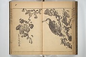 Kan'yōsai Picture Album (Kan'yōsai gafu) 寒葉斎画譜, Kan&#39;yōsai 寒葉斎 (Tatebe Ayatari 建部綾足) (Japanese, 1719–1774), Set of three woodblock printed books; ink on paper, Japan