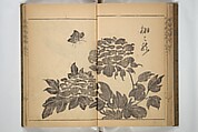 Kan'yōsai Picture Album (Kan'yōsai gafu) 寒葉斎画譜, Kan&#39;yōsai 寒葉斎 (Tatebe Ayatari 建部綾足) (Japanese, 1719–1774), Set of three woodblock printed books; ink on paper, Japan