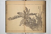 Kan'yōsai Picture Album (Kan'yōsai gafu) 寒葉斎画譜, Kan&#39;yōsai 寒葉斎 (Tatebe Ayatari 建部綾足) (Japanese, 1719–1774), Set of three woodblock printed books; ink on paper, Japan