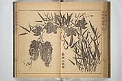 Kan'yōsai Picture Album (Kan'yōsai gafu) 寒葉斎画譜, Kan&#39;yōsai 寒葉斎 (Tatebe Ayatari 建部綾足) (Japanese, 1719–1774), Set of three woodblock printed books; ink on paper, Japan