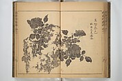 Kan'yōsai Picture Album (Kan'yōsai gafu) 寒葉斎画譜, Kan&#39;yōsai 寒葉斎 (Tatebe Ayatari 建部綾足) (Japanese, 1719–1774), Set of three woodblock printed books; ink on paper, Japan