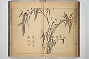 Kan'yōsai Picture Album (Kan'yōsai gafu) 寒葉斎画譜, Kan&#39;yōsai 寒葉斎 (Tatebe Ayatari 建部綾足) (Japanese, 1719–1774), Set of three woodblock printed books; ink on paper, Japan