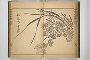 Kan'yōsai Picture Album (Kan'yōsai gafu) 寒葉斎画譜, Kan&#39;yōsai 寒葉斎 (Tatebe Ayatari 建部綾足) (Japanese, 1719–1774), Set of three woodblock printed books; ink on paper, Japan