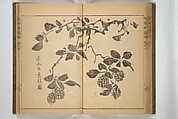 Kan'yōsai Picture Album (Kan'yōsai gafu) 寒葉斎画譜, Kan&#39;yōsai 寒葉斎 (Tatebe Ayatari 建部綾足) (Japanese, 1719–1774), Set of three woodblock printed books; ink on paper, Japan