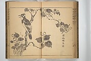 Kan'yōsai Picture Album (Kan'yōsai gafu) 寒葉斎画譜, Kan&#39;yōsai 寒葉斎 (Tatebe Ayatari 建部綾足) (Japanese, 1719–1774), Set of three woodblock printed books; ink on paper, Japan