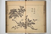 Kan'yōsai Picture Album (Kan'yōsai gafu) 寒葉斎画譜, Kan&#39;yōsai 寒葉斎 (Tatebe Ayatari 建部綾足) (Japanese, 1719–1774), Set of three woodblock printed books; ink on paper, Japan